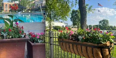 Seasonal Planter and Potted Plants