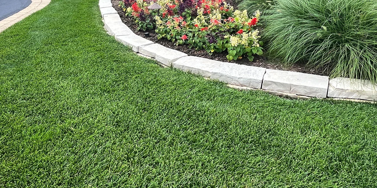 Lawn Maintenance