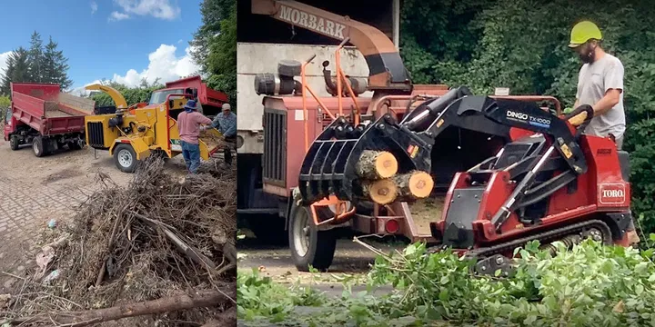  Plumbing Services: tree-trimming