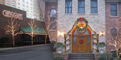 Holiday Decor & Holiday Lighting, Christmas Decorations