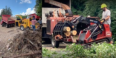 Tree Triming, Tree Removal, Stump Grinding