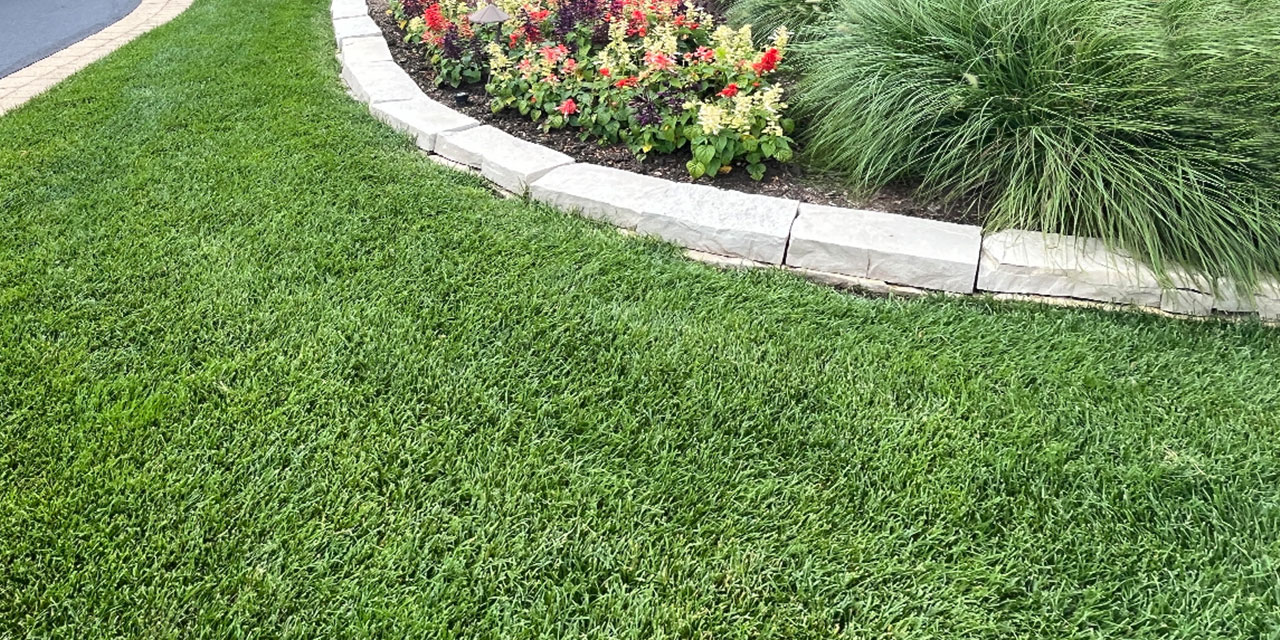 Lawn Maintenance