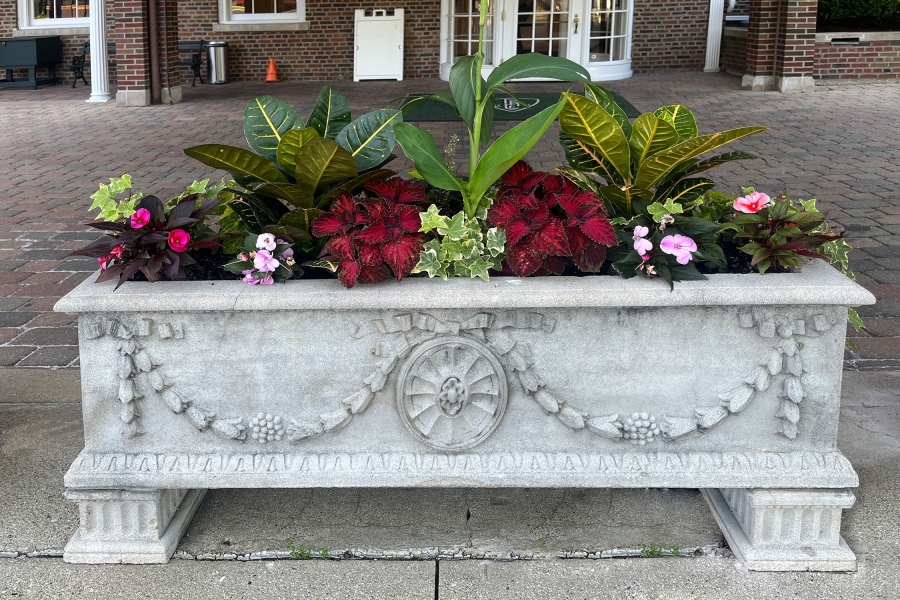 Seasonal Planter and Potted Plants