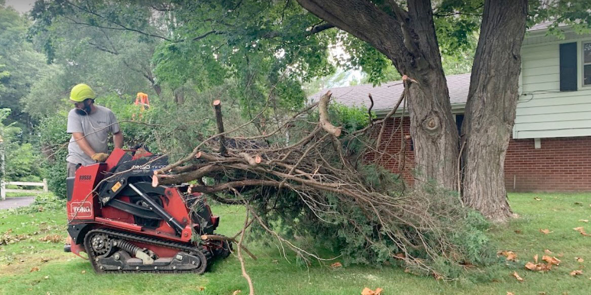 tree-removal